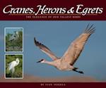 Cranes, Herons & Egrets