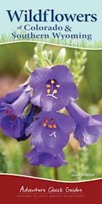 Wildflowers of Colorado & Southern Wyoming