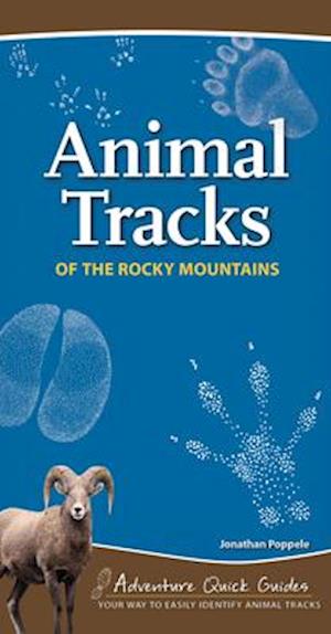 Animal Tracks of the Rocky Mountains