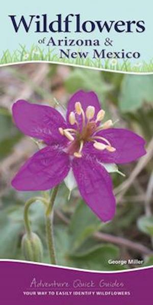 Wildflowers of Arizona & New Mexico