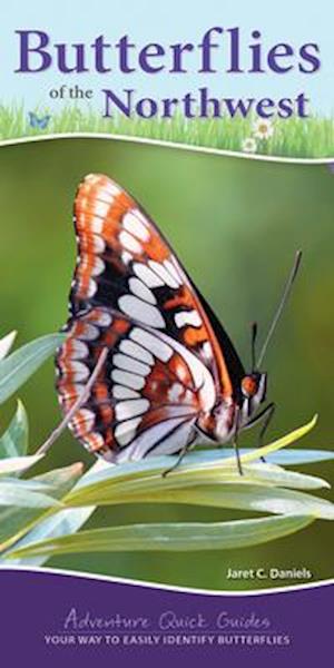 Butterflies of the Northwest : Your Way to Easily Identify Butterflies