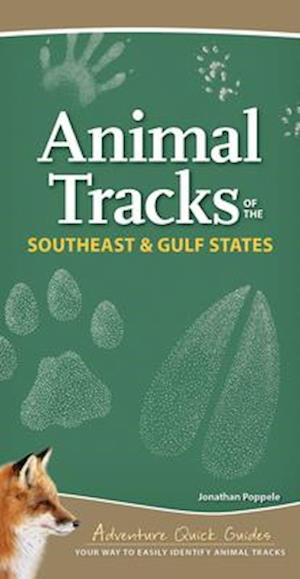 Animal Tracks of the Southeast & Gulf States : Your Way to Easily Identify Animal Tracks