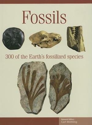 Fossils