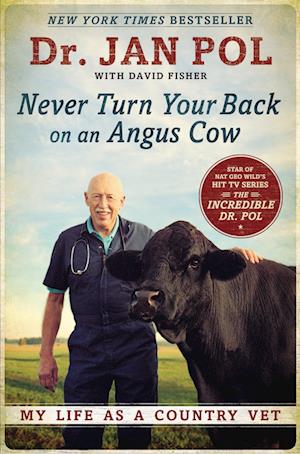 Never Turn Your Back On An Angus Cow