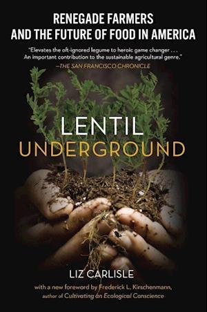 Lentil Underground