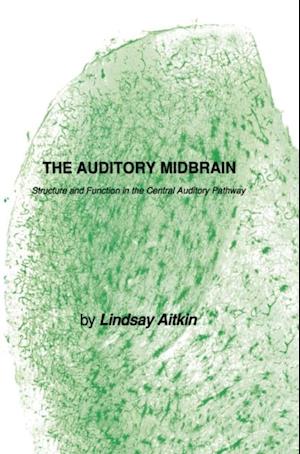 Auditory Midbrain