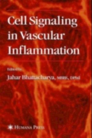 Cell Signaling in Vascular Inflammation