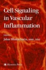 Cell Signaling in Vascular Inflammation