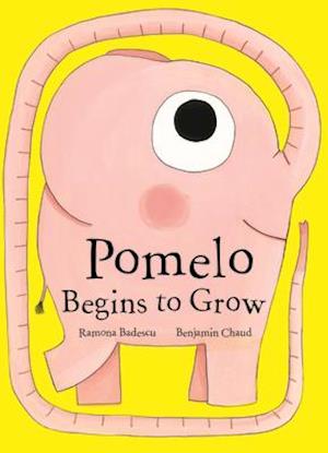 Pomelo Begins to Grow