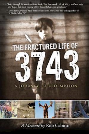 The Fractured Life of 3743