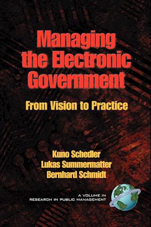 Managing the Electronic Government