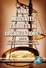 What Motivates Fairness in Organizations (PB)