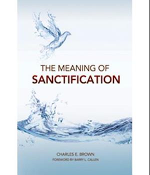 The Meaning of Sanctification