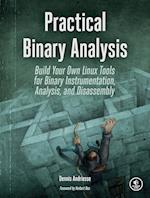 Practical Binary Analysis