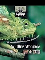 Wildlife Wonders