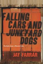 Falling Cars and Junkyard Dogs