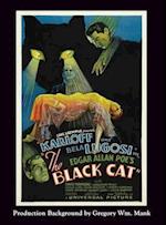 The Black Cat (Hardback)