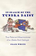 In Search of the Tundra Daisy