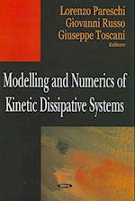 Modelling & Numerics of Kinetic Dissipative Systems