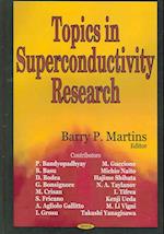 Topics in Superconductivity Research