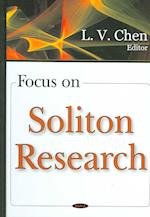 Focus on Soliton Research