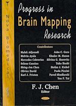 Progress in Brain Mapping Research