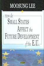 How Do Small States Affect the Future Development of the EU
