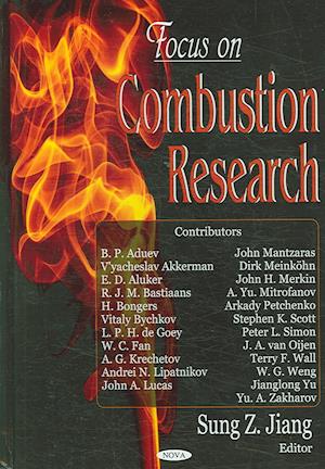 Focus on Combustion Research