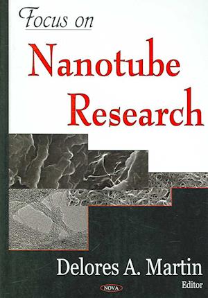 Focus on Nanotube Research