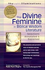 Divine Feminine in Biblical Wisdom Literature
