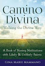 Camino Divina-Walking the Divine Way