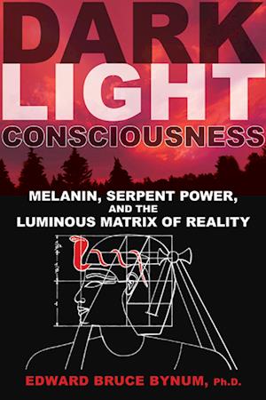 Dark Light Consciousness