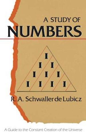 Study of Numbers