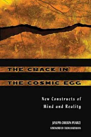 Crack in the Cosmic Egg