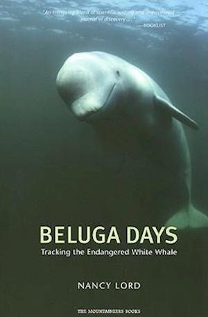 Beluga Days