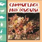Camouflage and Disguise