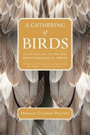 A Gathering of Birds