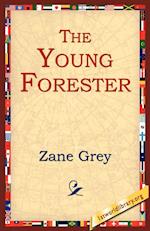 The Young Forester