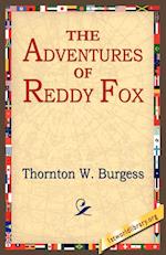 The Adventures of Reddy Fox