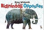 Brian Wildsmith's Opposites (Navajo/English)