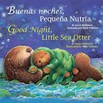 Good Night, Little Sea Otter