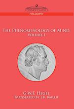 The Phenomenology of Mind