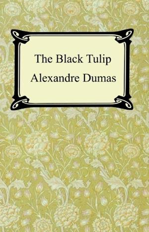 Black Tulip