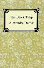 Black Tulip