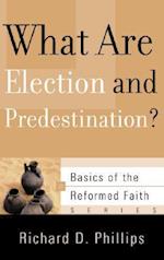 What Are Election and Predestination?