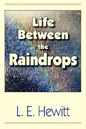 Life Between the Raindrops