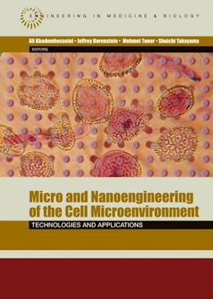 Micro and Nanoengineering of the Cell Microenvironment