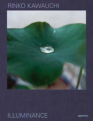 Rinko Kawauchi