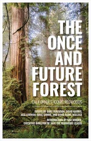 Once and Future Forest