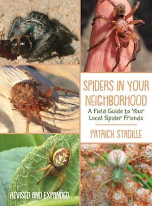 Spiders in Your Neighborhood